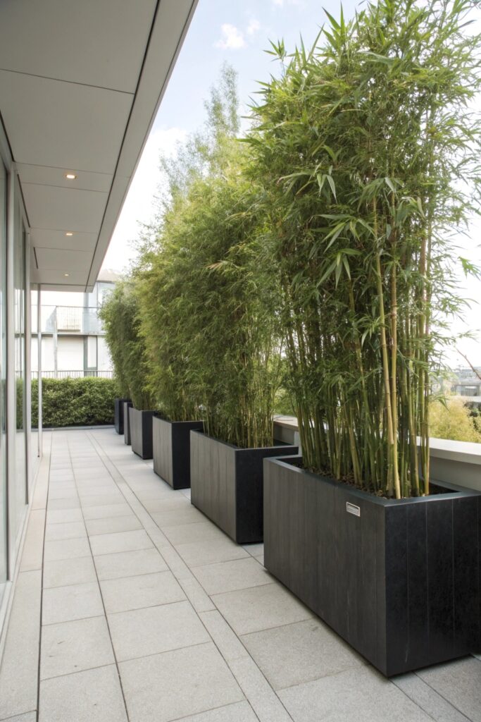 11 Patio Garden Ideas That Bring Life to Any Outdoor Space