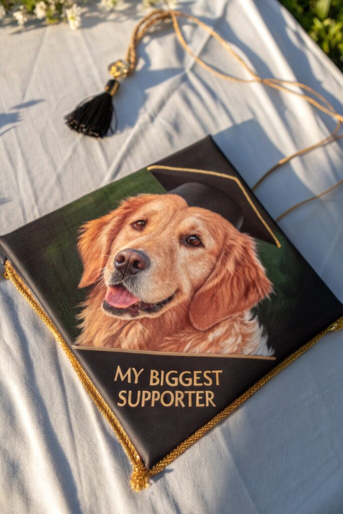 15 Creative Graduation Cap Ideas to Show Off Your Personality